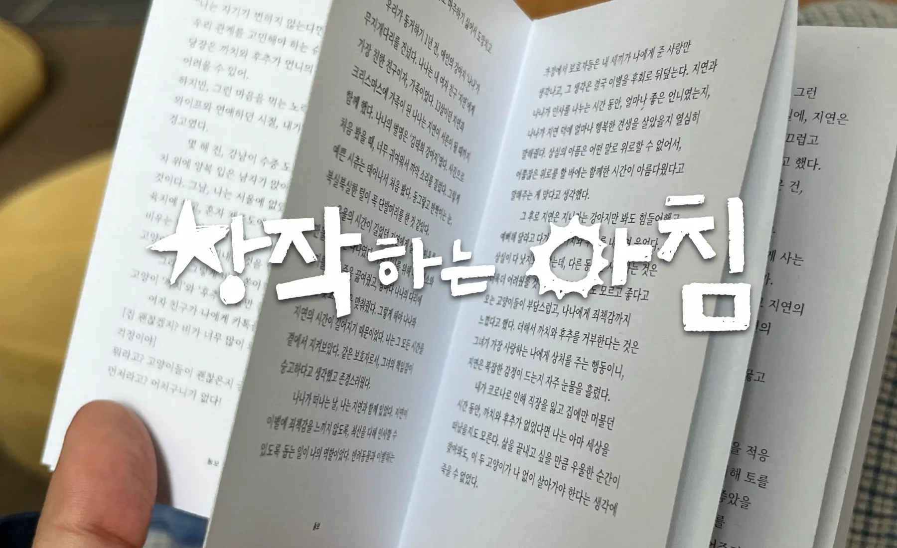 창작하는 아침 10월의 동료를 찾습니다