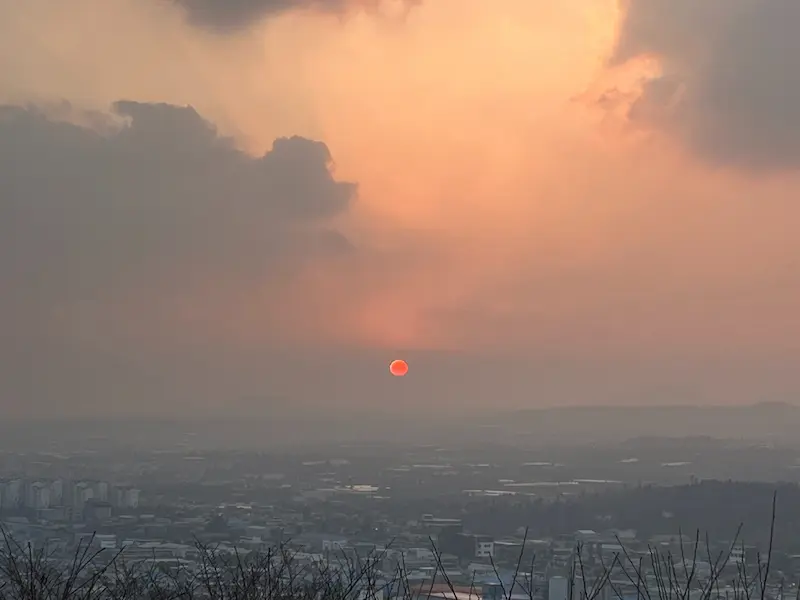 숫자로 돌아보는 2022