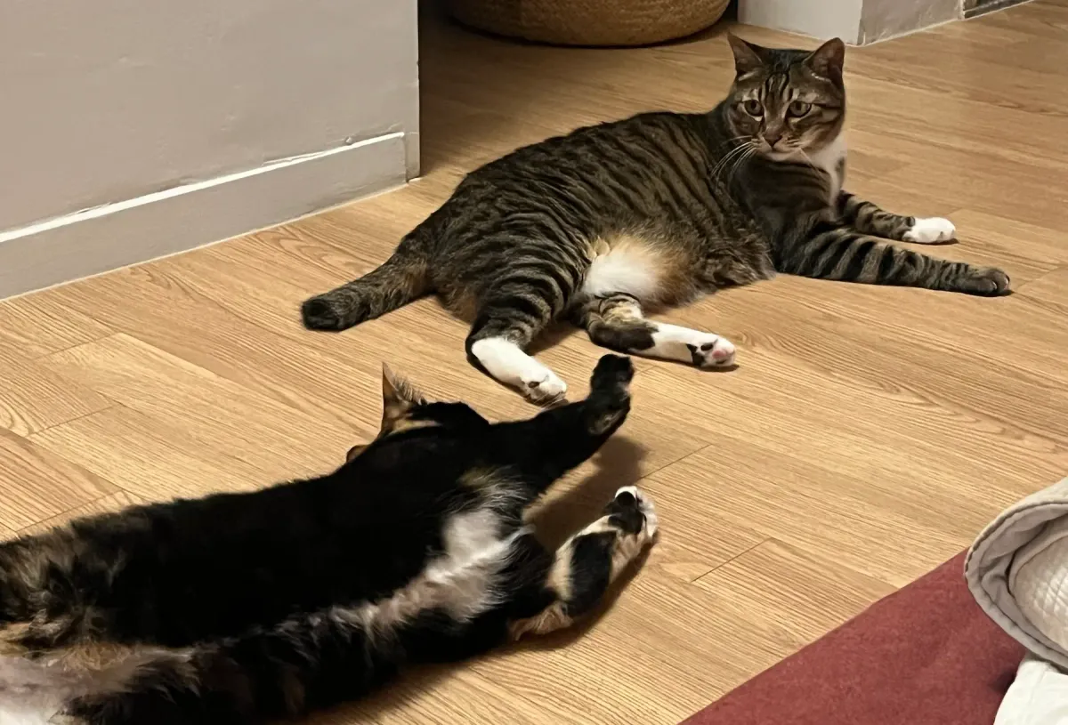 Ep.71 (질투)에 대한 강단과 소신