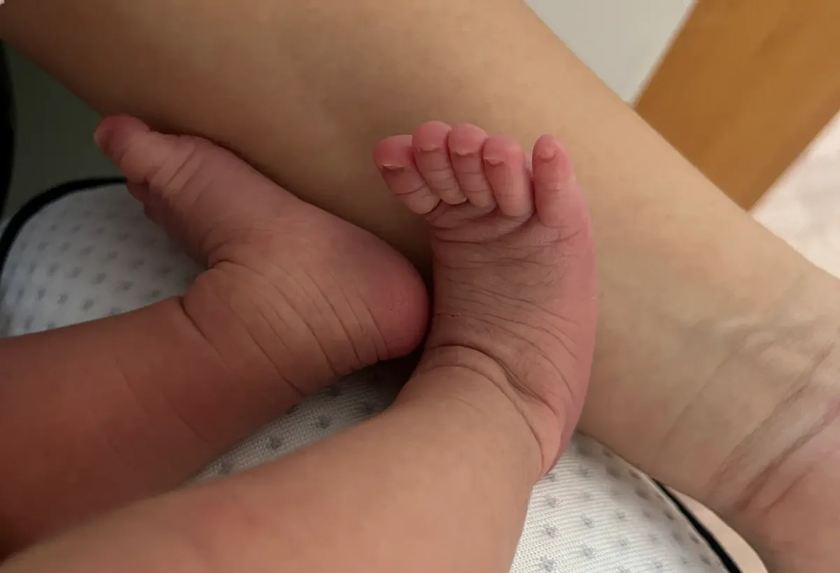 [월간 보고서] 고요를 품에 안고서