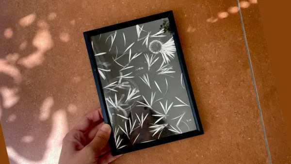 [후원자 할인] 컬렉트, 프린트, 프레임